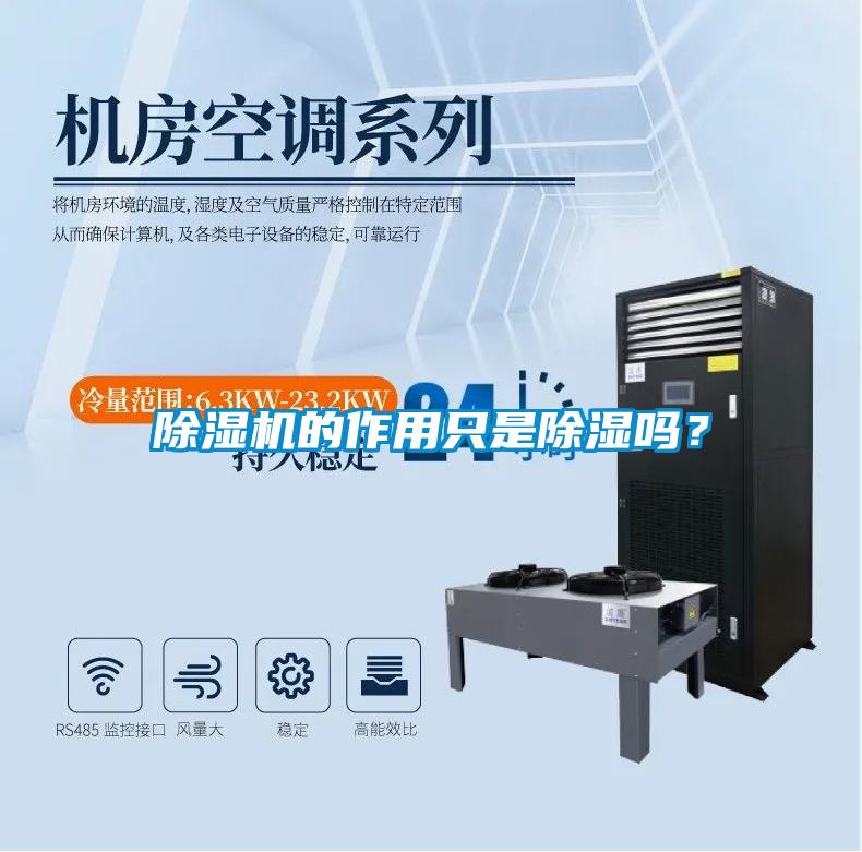 除濕機的作用只是除濕嗎?