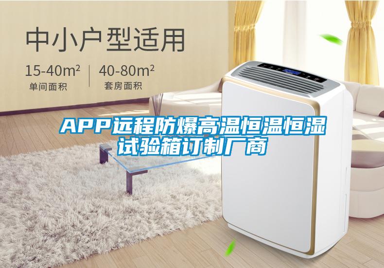 APP遠(yuǎn)程防爆高溫恒溫恒濕試驗箱訂制廠商