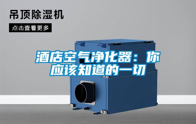 酒店空氣凈化器：你應該知道的一切