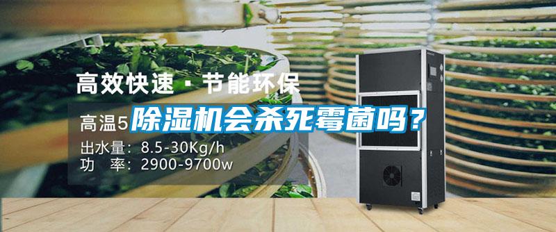除濕機會殺死霉菌嗎?