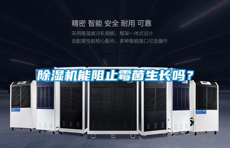除濕機能阻止霉菌生長嗎?