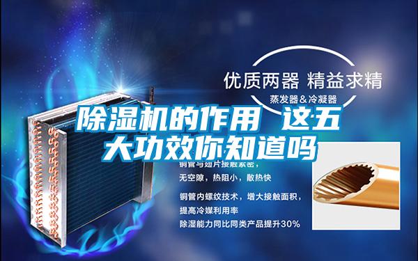 除濕機(jī)的作用 這五大功效你知道嗎