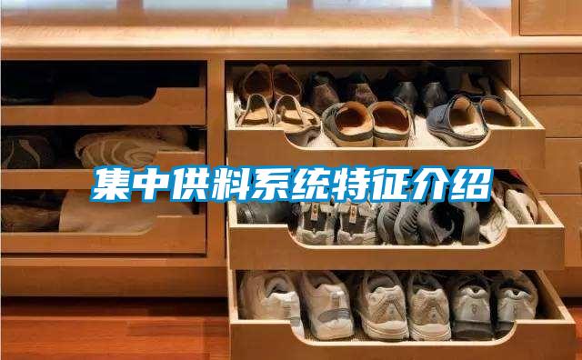 集中供料系統特征介紹