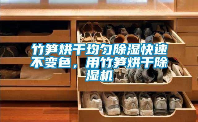 竹筍烘干均勻除濕快速不變色,用竹筍烘干除濕機
