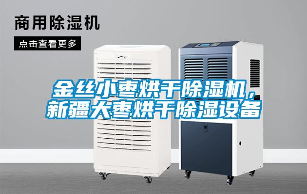 金絲小棗烘干除濕機，新疆大棗烘干除濕設備