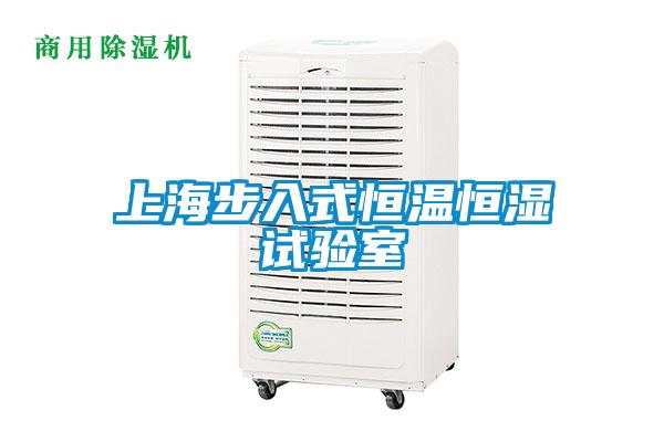 上海步入式恒溫恒濕試驗(yàn)室