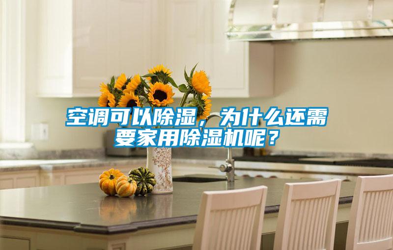 空調(diào)可以除濕,為什么還需要家用除濕機(jī)呢?