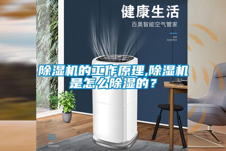 除濕機的工作原理,除濕機是怎么除濕的?