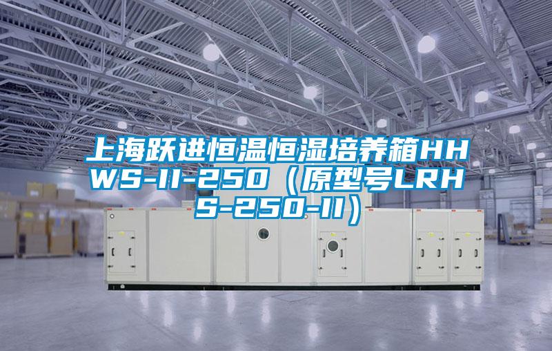 上海躍進恒溫恒濕培養箱HHWS-II-250(原型號LRHS-250-II)