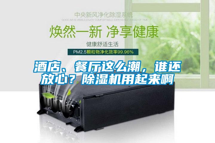 酒店、餐廳這么潮，誰還放心？除濕機用起來啊