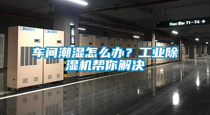 車間潮濕怎么辦？工業除濕機幫你解決