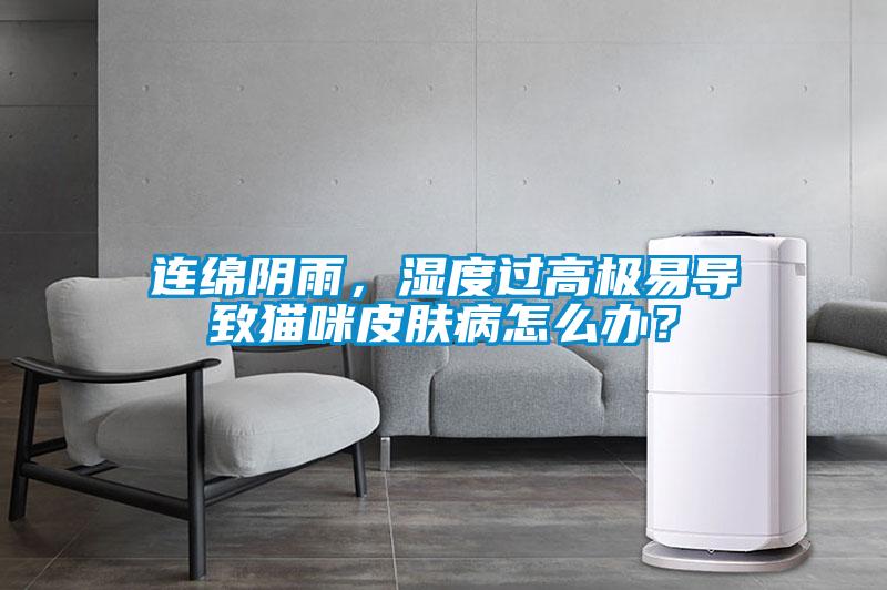 連綿陰雨,濕度過高極易導致貓咪皮膚病怎么辦?