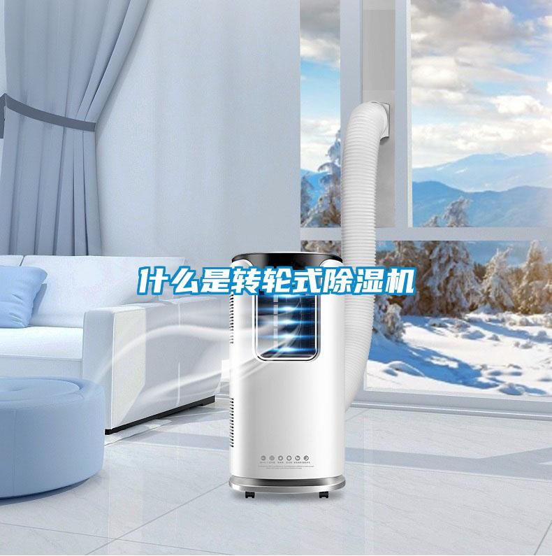 什么是轉輪式除濕機