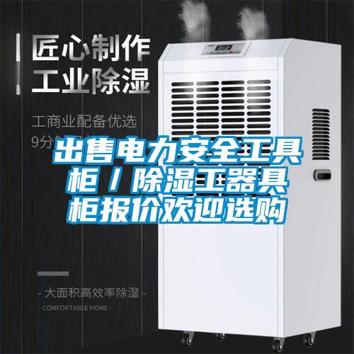 出售電力安全工具柜/除濕工器具柜報(bào)價(jià)歡迎選購