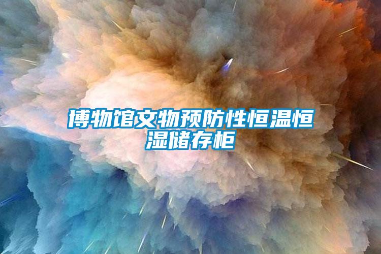 博物館文物預防性恒溫恒濕儲存柜