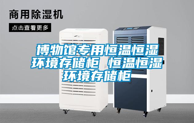 博物館專用恒溫恒濕環境存儲柜 恒溫恒濕環境存儲柜