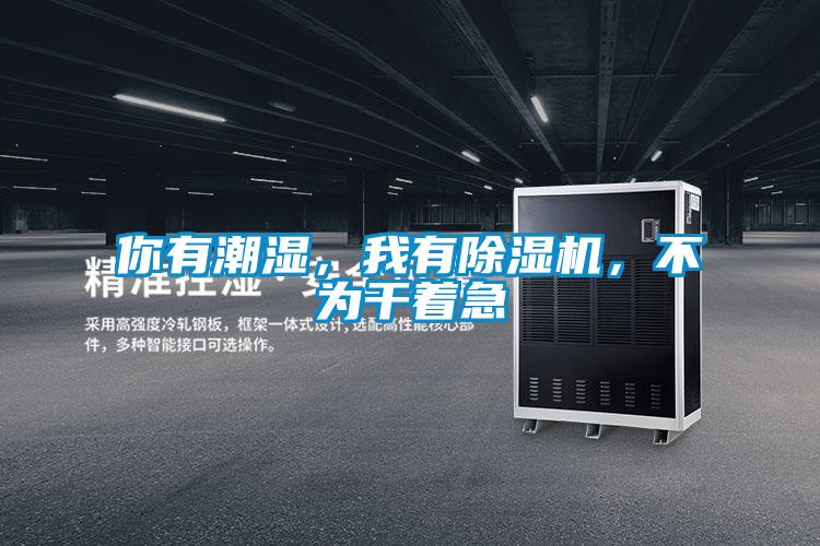你有潮濕，我有除濕機，不為干著急