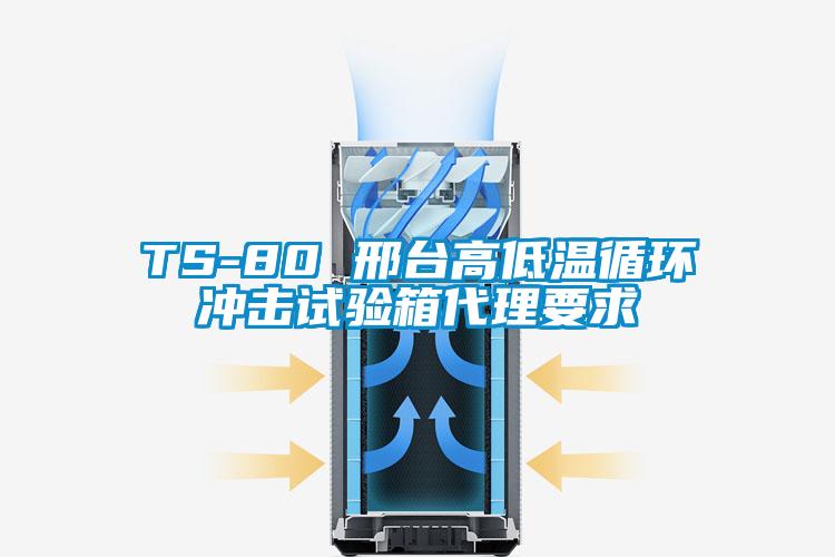 TS-80 邢臺高低溫循環沖擊試驗箱代理要求