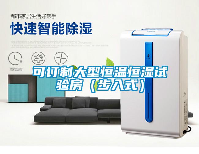 可訂制大型恒溫恒濕試驗房（步入式）