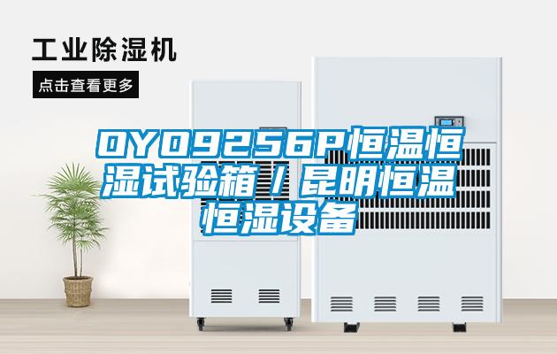 OYO9256P恒溫恒濕試驗箱／昆明恒溫恒濕設備