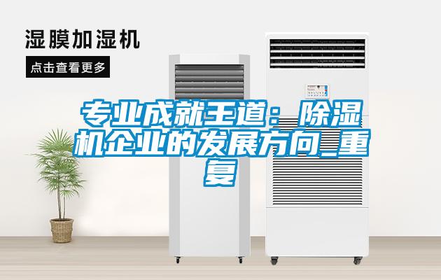 專業成就王道：除濕機企業的發展方向_重復