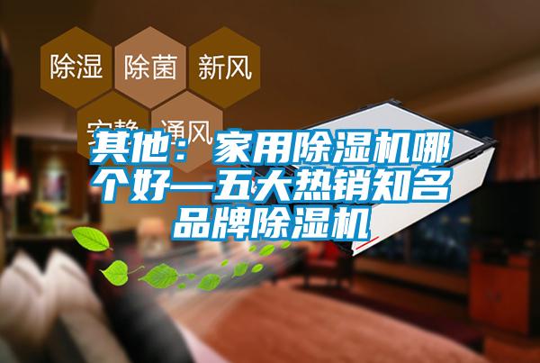 其他：家用除濕機哪個好—五大熱銷知名品牌除濕機