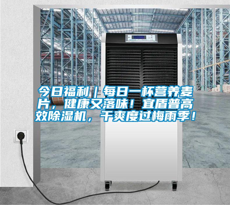 今日福利|每日一杯營養麥片,健康又落味!宜盾普高效除濕機,干爽度過梅雨季!