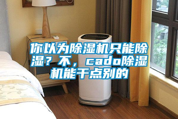 你以為除濕機(jī)只能除濕？不，cado除濕機(jī)能干點別的