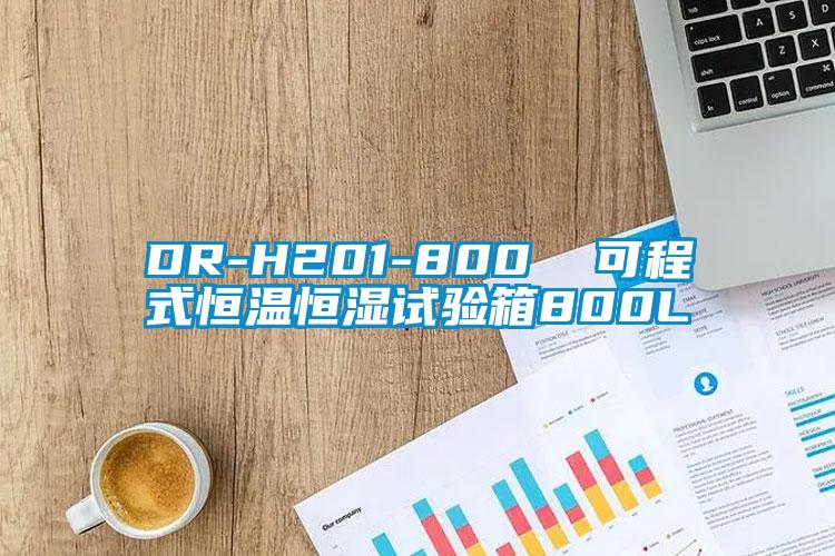 DR-H201-800  可程式恒溫恒濕試驗箱800L