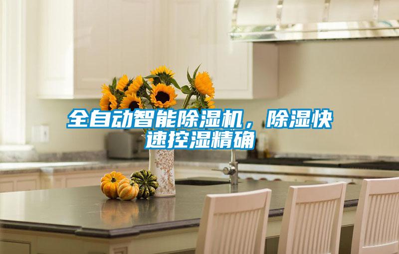 全自動智能除濕機,除濕快速控濕精確