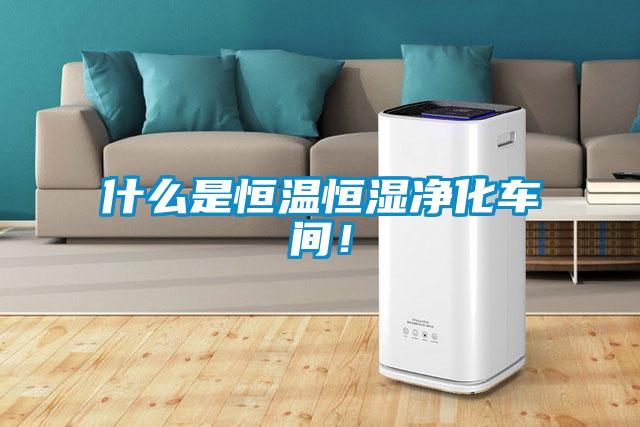 什么是恒溫恒濕凈化車間!