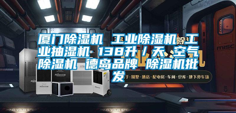 廈門除濕機 工業(yè)除濕機 工業(yè)抽濕機 138升／天 空氣除濕機 德島品牌 除濕機批發(fā)