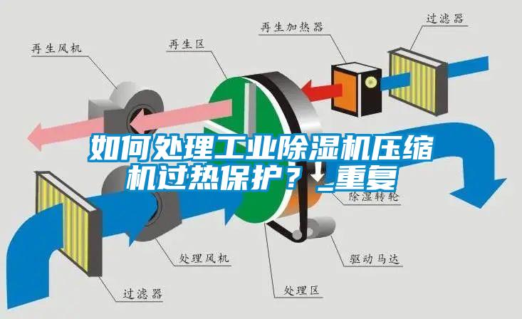 如何處理工業除濕機壓縮機過熱保護?_重復