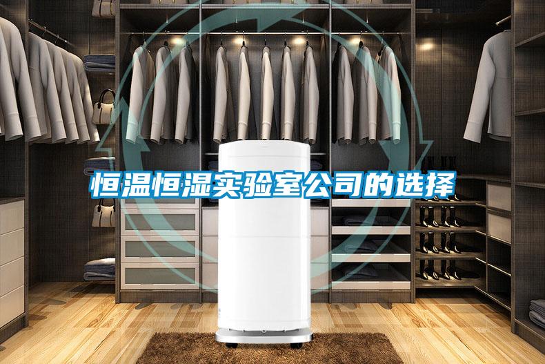 恒溫恒濕實(shí)驗(yàn)室公司的選擇