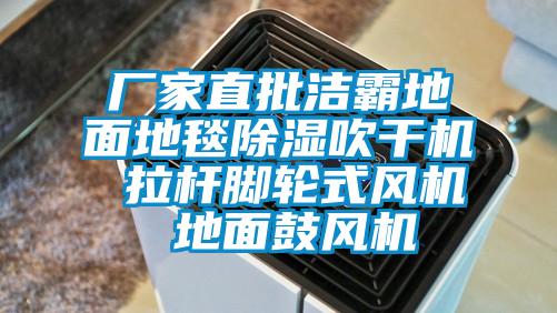 廠家直批潔霸地面地毯除濕吹干機(jī) 拉桿腳輪式風(fēng)機(jī) 地面鼓風(fēng)機(jī)