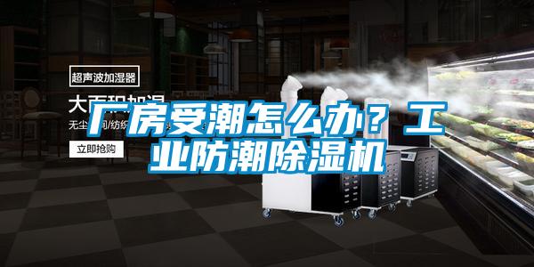 廠房受潮怎么辦？工業防潮除濕機