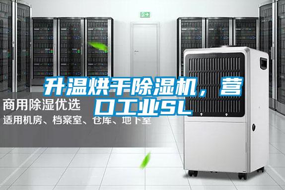 升溫烘干除濕機,營口工業SL