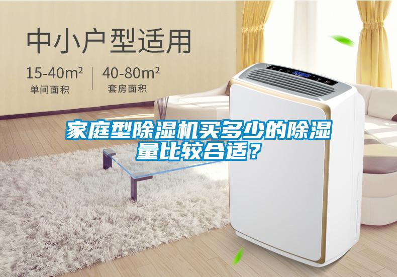 家庭型除濕機買多少的除濕量比較合適?