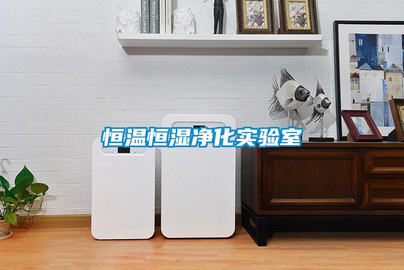 恒溫恒濕凈化實(shí)驗(yàn)室