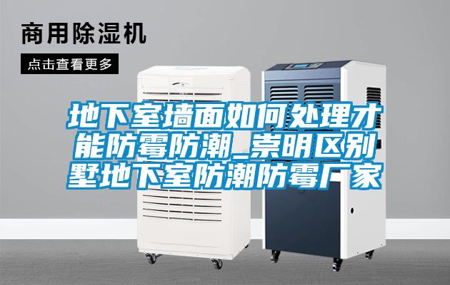 地下室墻面如何處理才能防霉防潮_崇明區別墅地下室防潮防霉廠家