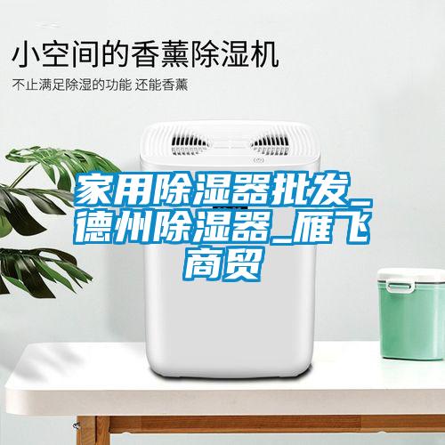 家用除濕器批發(fā)_德州除濕器_雁飛商貿(mào)