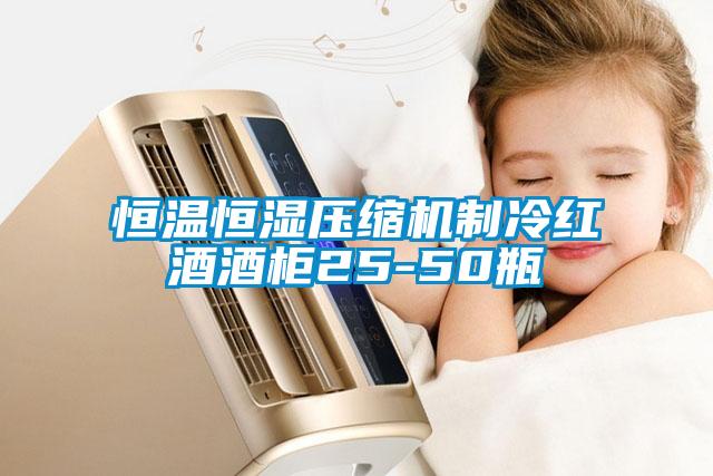 恒溫恒濕壓縮機制冷紅酒酒柜25-50瓶