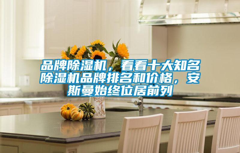 品牌除濕機(jī),看看十大知名除濕機(jī)品牌排名和價(jià)格,安斯曼始終位居前列