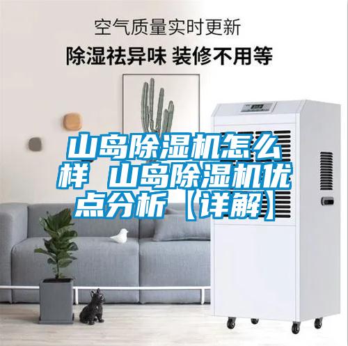 山島除濕機怎么樣 山島除濕機優(yōu)點分析【詳解】