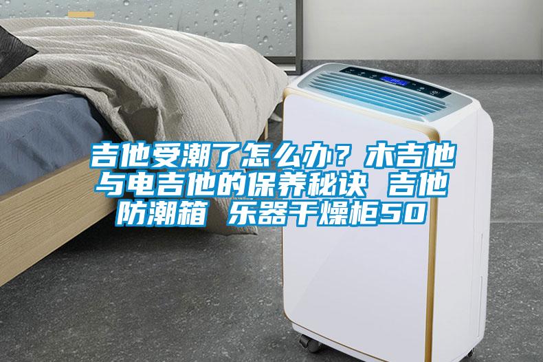 吉他受潮了怎么辦?木吉他與電吉他的保養秘訣 吉他防潮箱 樂器干燥柜50
