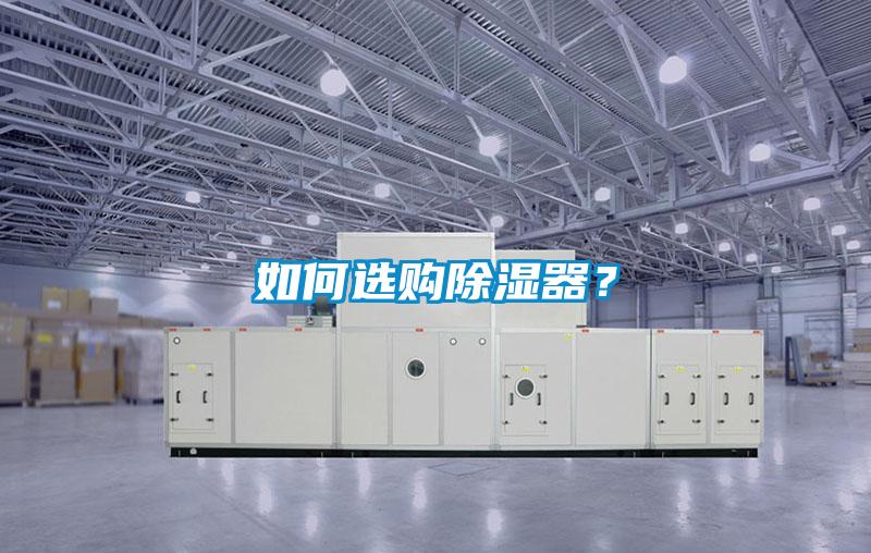 如何選購除濕器？