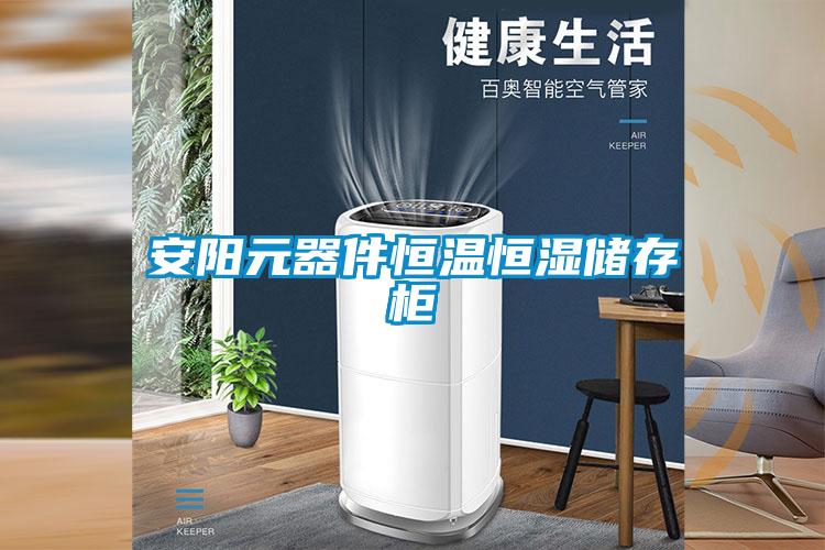 安陽元器件恒溫恒濕儲存柜