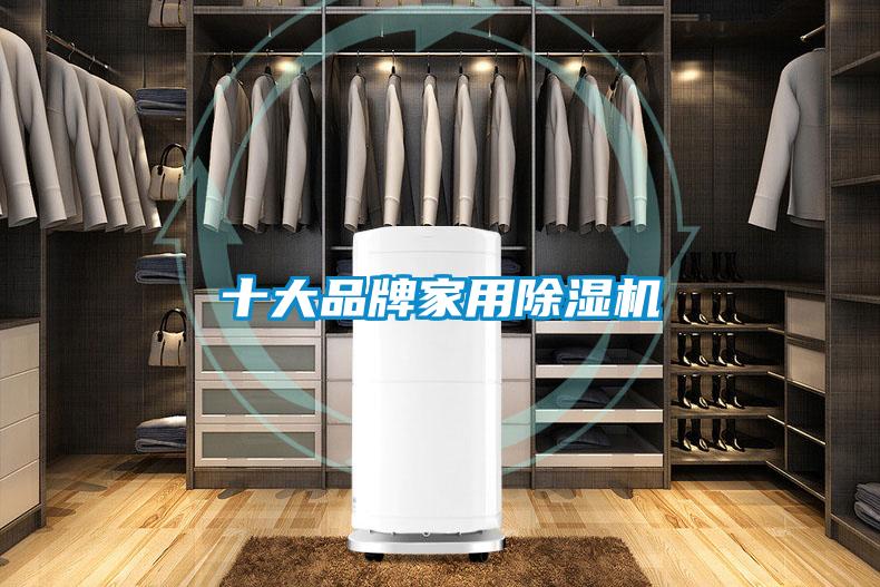 十大品牌家用除濕機