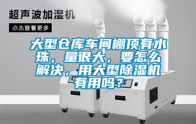 大型倉庫車間棚頂有水珠，量很大，要怎么解決，用大型除濕機有用嗎？