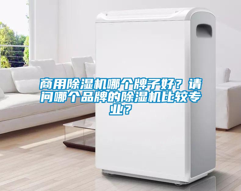 商用除濕機哪個牌子好?請問哪個品牌的除濕機比較專業?
